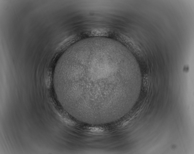 X0000100340741200806121150