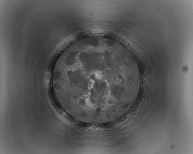 X0000100340742200806121150