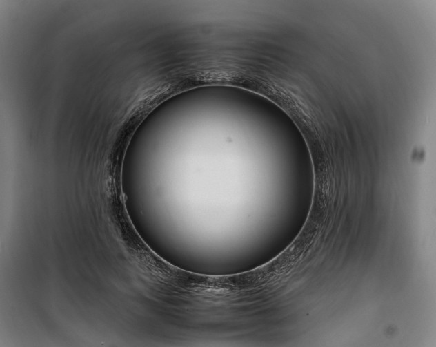 X0000100340743200806121150