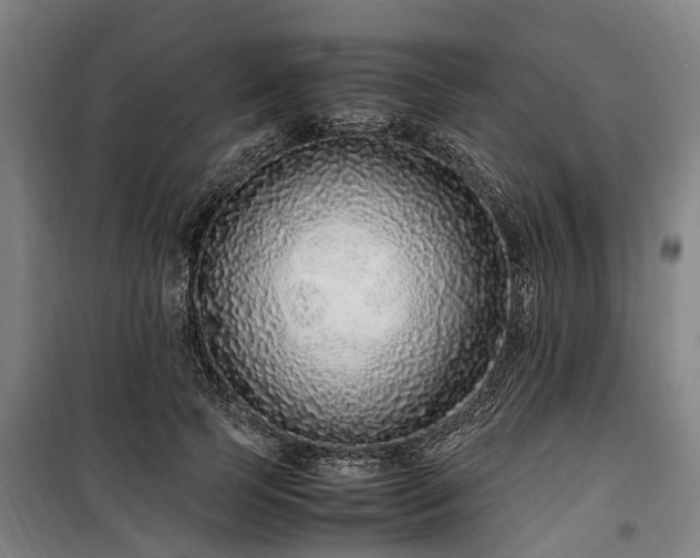 X0000100340745200806121150