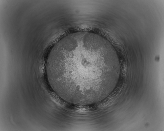 X0000100340746200806121150