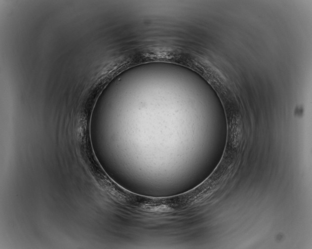 X0000100340747200806121150