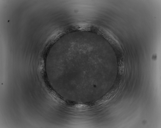 X0000100340748200806121150