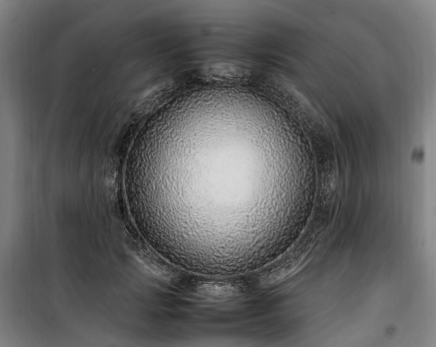 X0000100340749200806121150