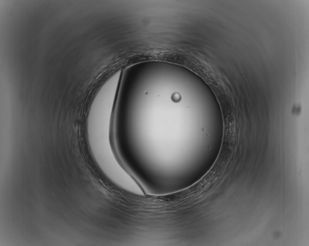 X0000100340750200806121150