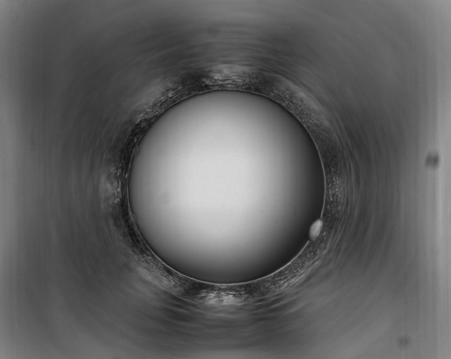 X0000100340751200806121150