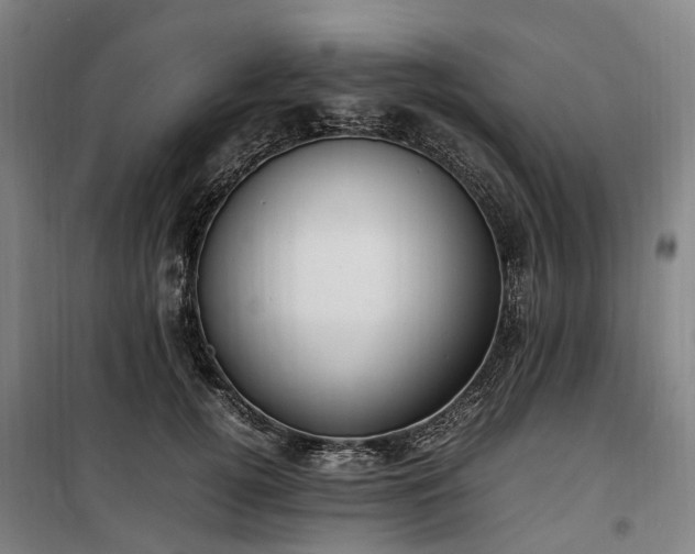 X0000100340752200806121150