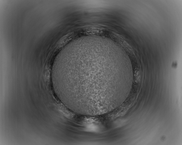 X0000100340753200806121150