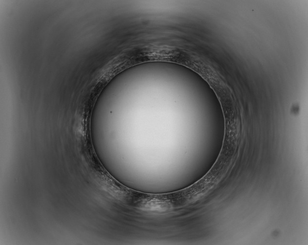 X0000100340755200806121150