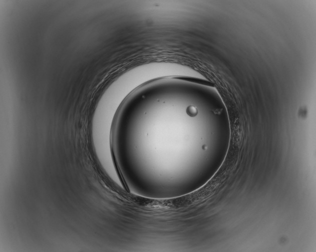 X0000100340756200806121150