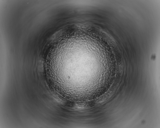 X0000100340757200806121150