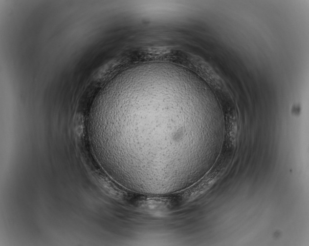 X0000100340758200806121150