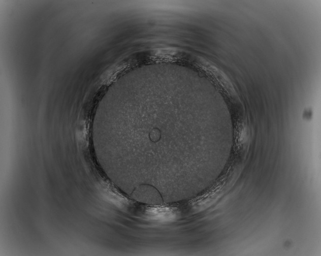 X0000100340759200806121150