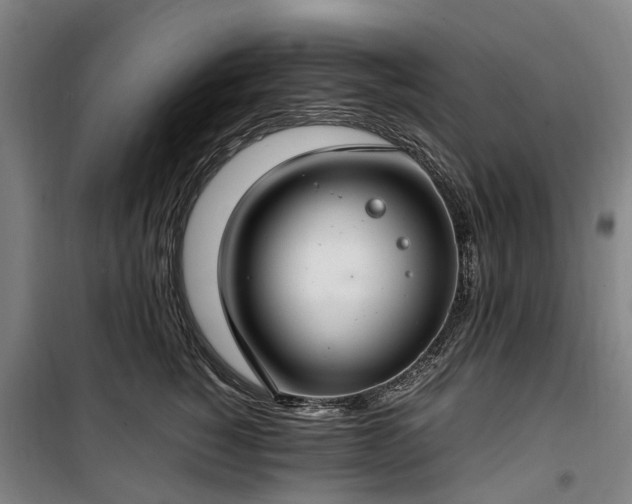 X0000100340760200806121150