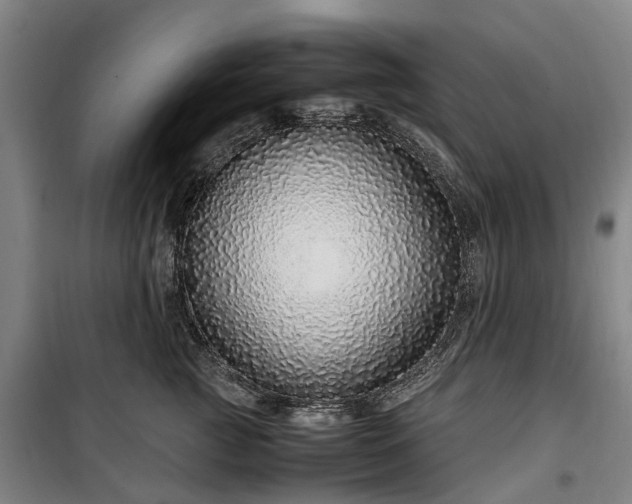 X0000100340761200806121150