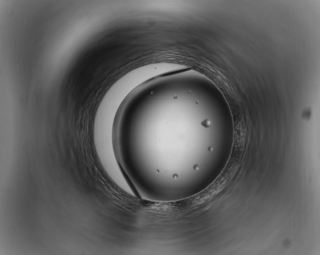 X0000100340762200806121150