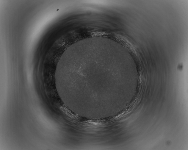 X0000100340763200806121150