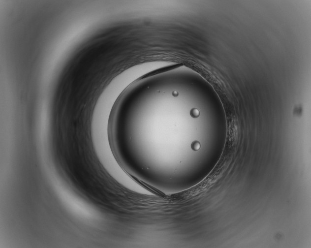 X0000100340764200806121150