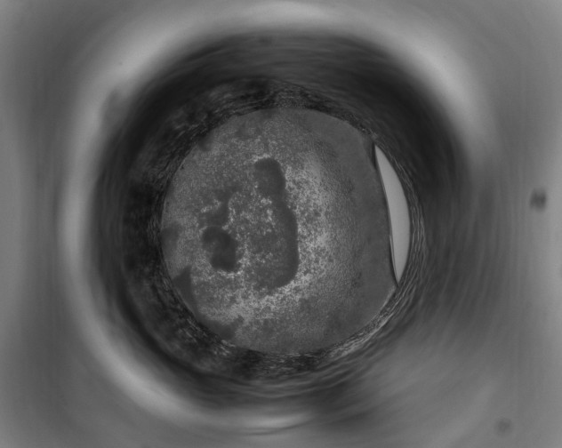 X0000100340765200806121150