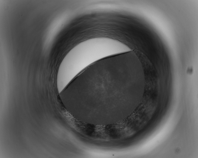 X0000100340766200806121150