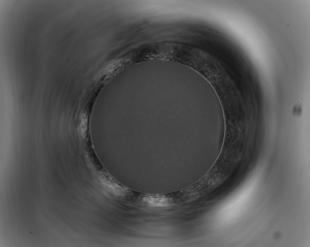 X0000100340767200806121150