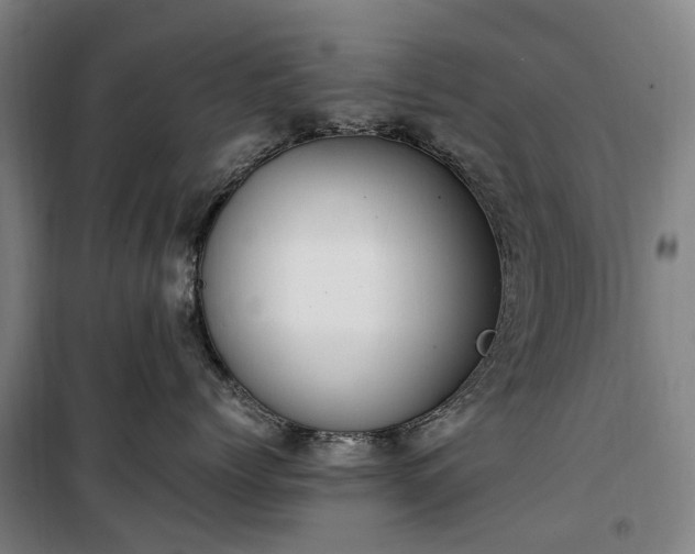 X0000100340768200806121150