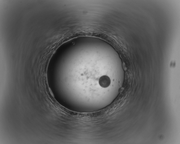 X0000100340769200806121150