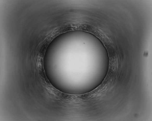 X0000100340770200806121149