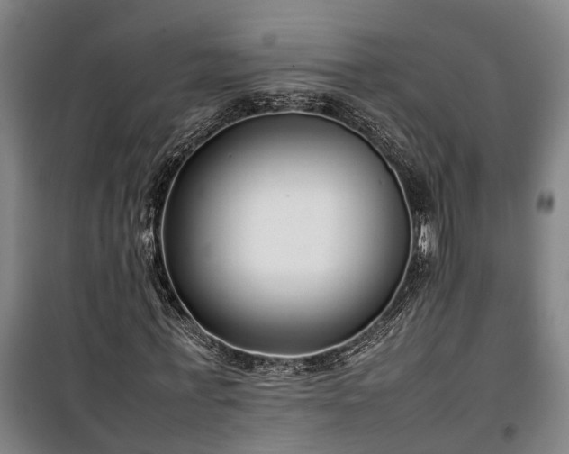 X0000100340771200806121149