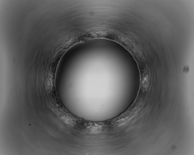 X0000100340772200806121149