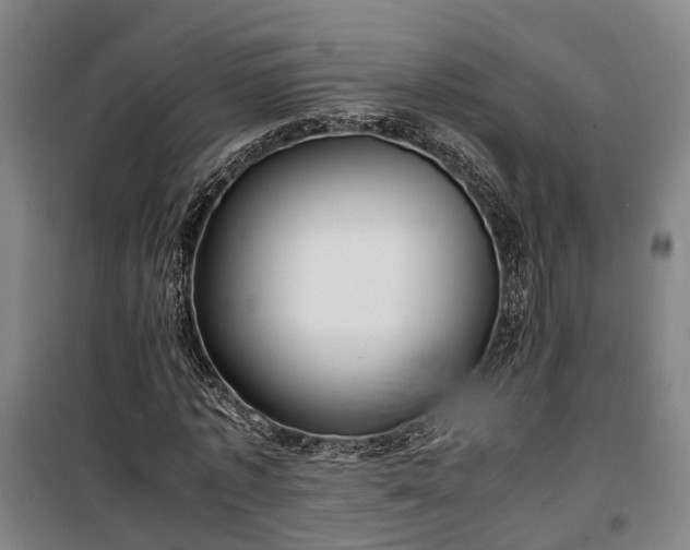 X0000100340773200806121149