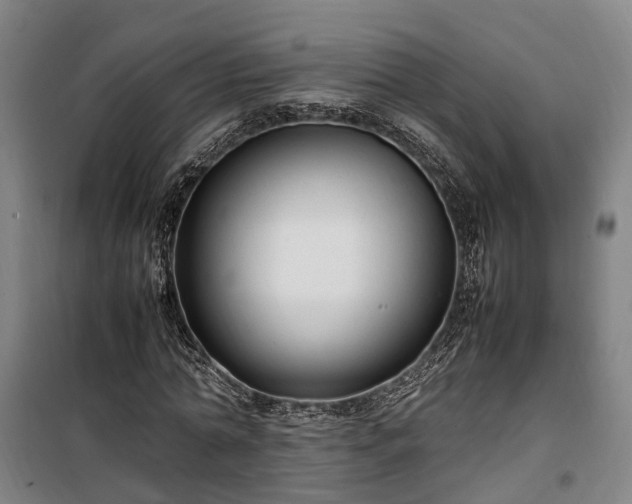 X0000100340774200806121149