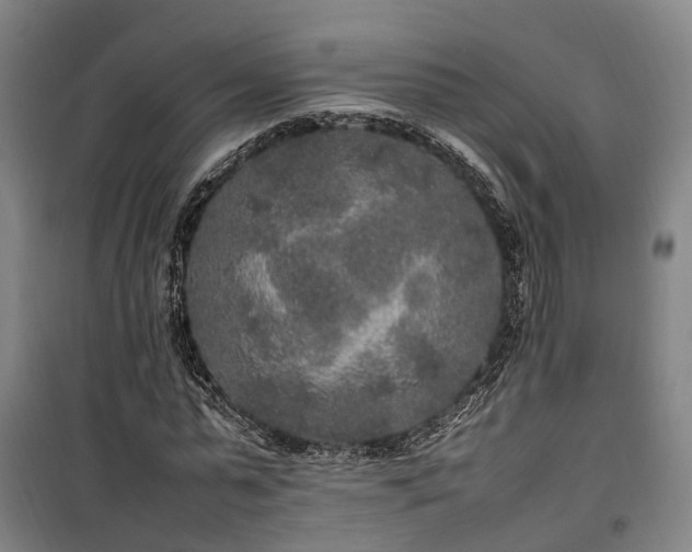 X0000100340775200806121149