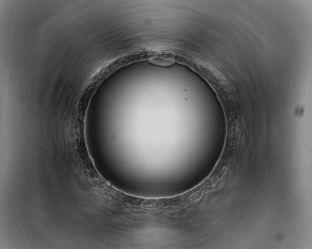 X0000100340776200806121149