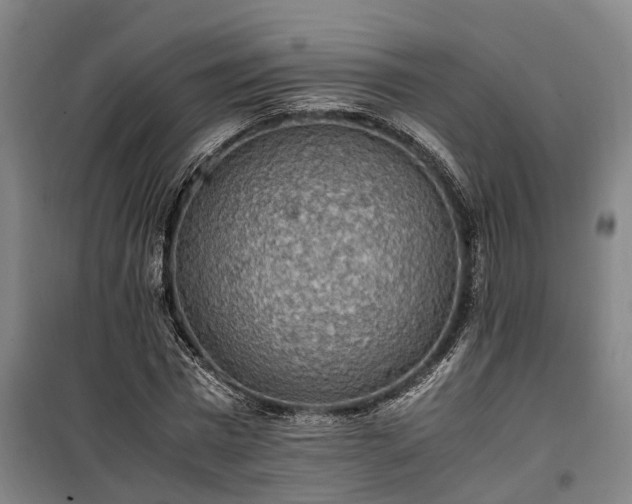 X0000100340777200806121149