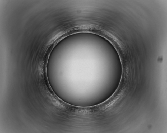 X0000100340778200806121149