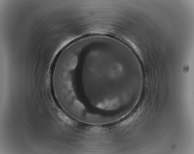 X0000100340779200806121149