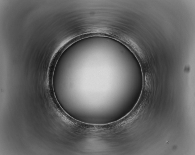 X0000100340780200806121149