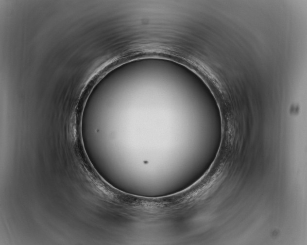 X0000100340782200806121149