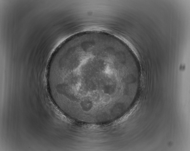 X0000100340783200806121149