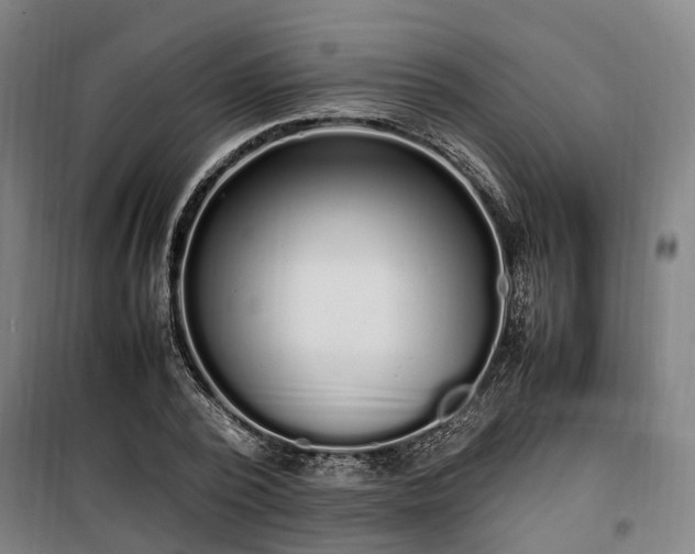 X0000100340784200806121149