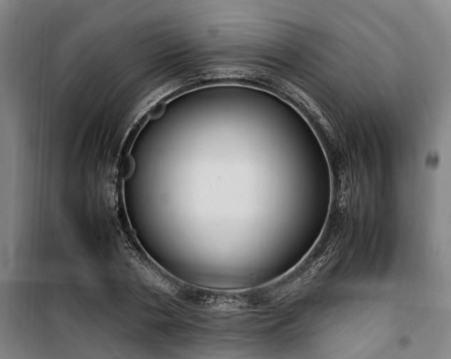 X0000100340786200806121149