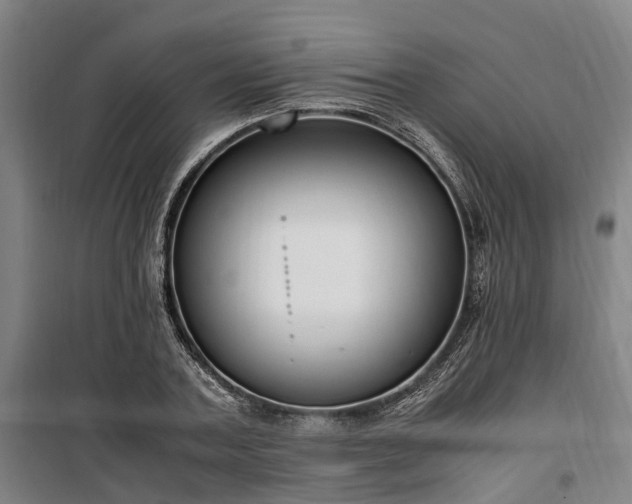 X0000100340787200806121149