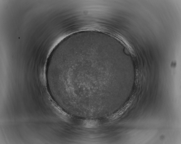 X0000100340788200806121149