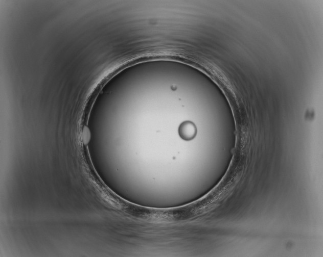 X0000100340789200806121149