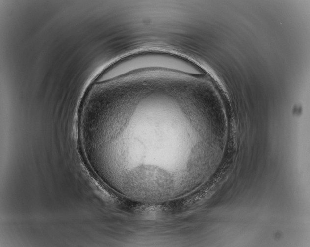 X0000100340791200806121149