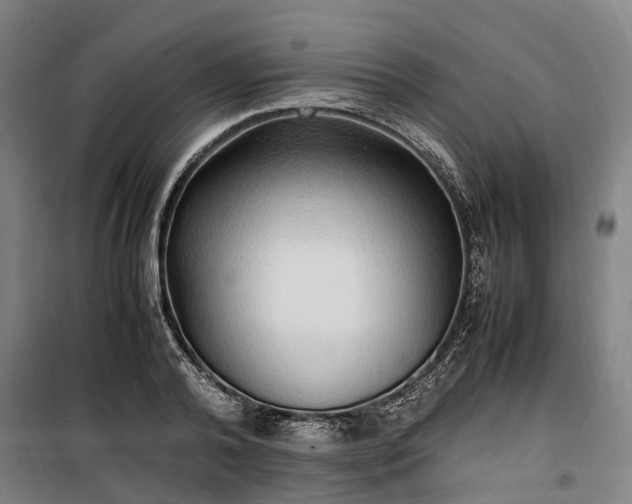 X0000100340792200806121149