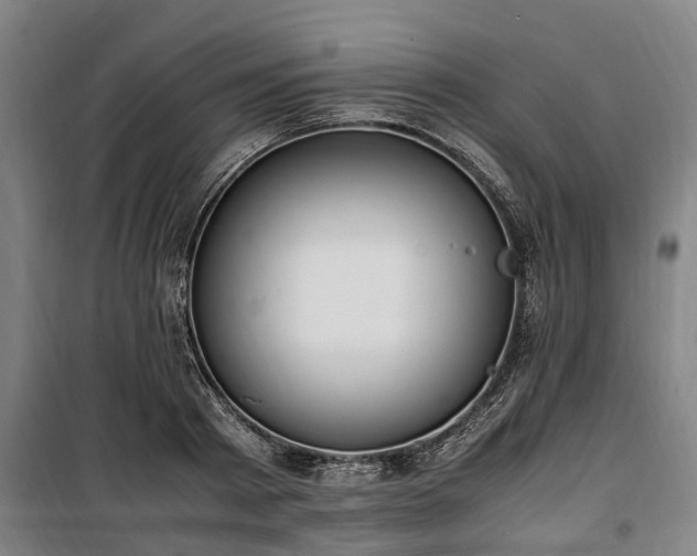 X0000100340793200806121149