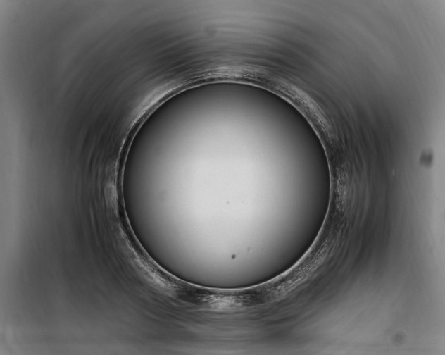 X0000100340794200806121149