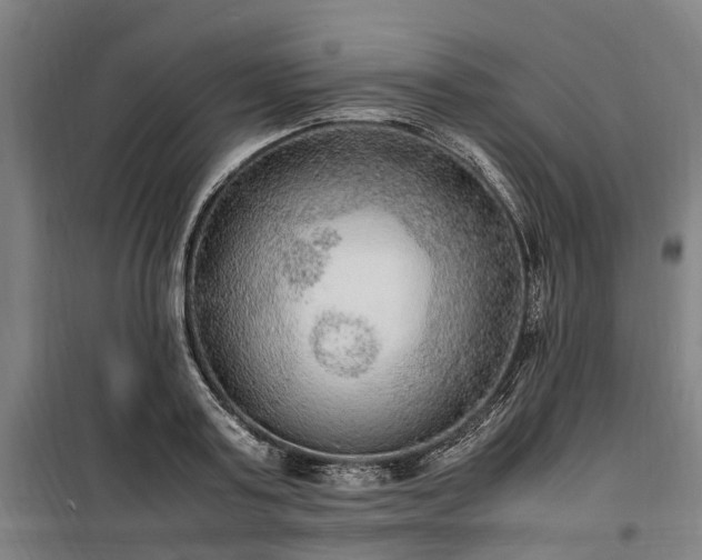 X0000100340795200806121149